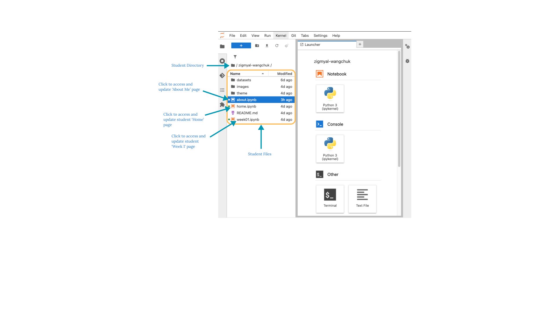 No description has been provided for this image